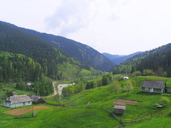 Czarny Czeremosz w Szybenym, widok w górę doliny (Fot. paszczak)