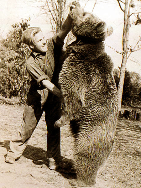 Niedźwiedzie zabawy (Fot. www.edinburgh.com.pl)
