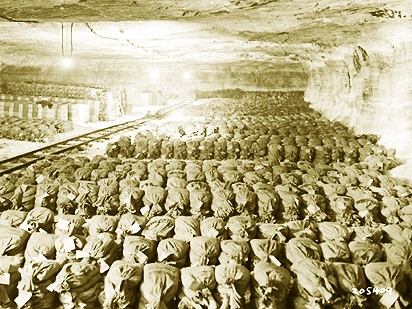 Zasoby Banku Rzeszy zgromadzone w kopalni soli Keiserode (Zbiory: US National Archive)