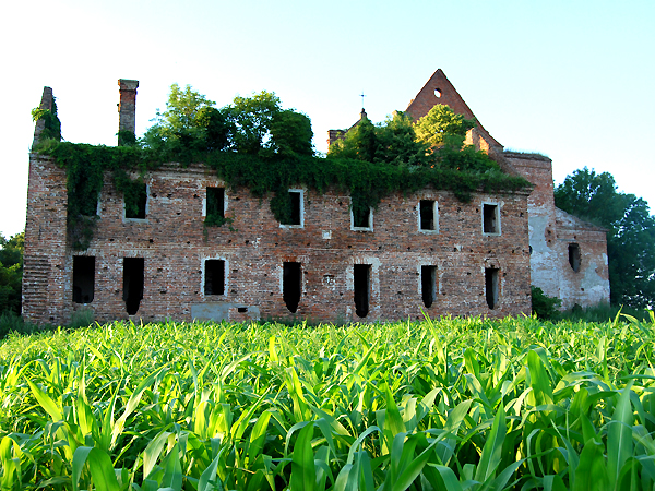 Ruiny plebanii w Kisielinie, 2011 r. (Fot. Konstanty Czawaga)