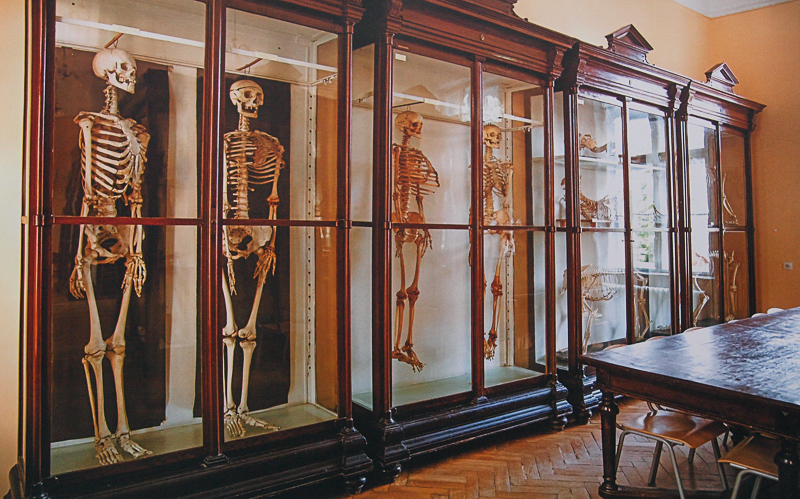 Muzeum anatomiczne