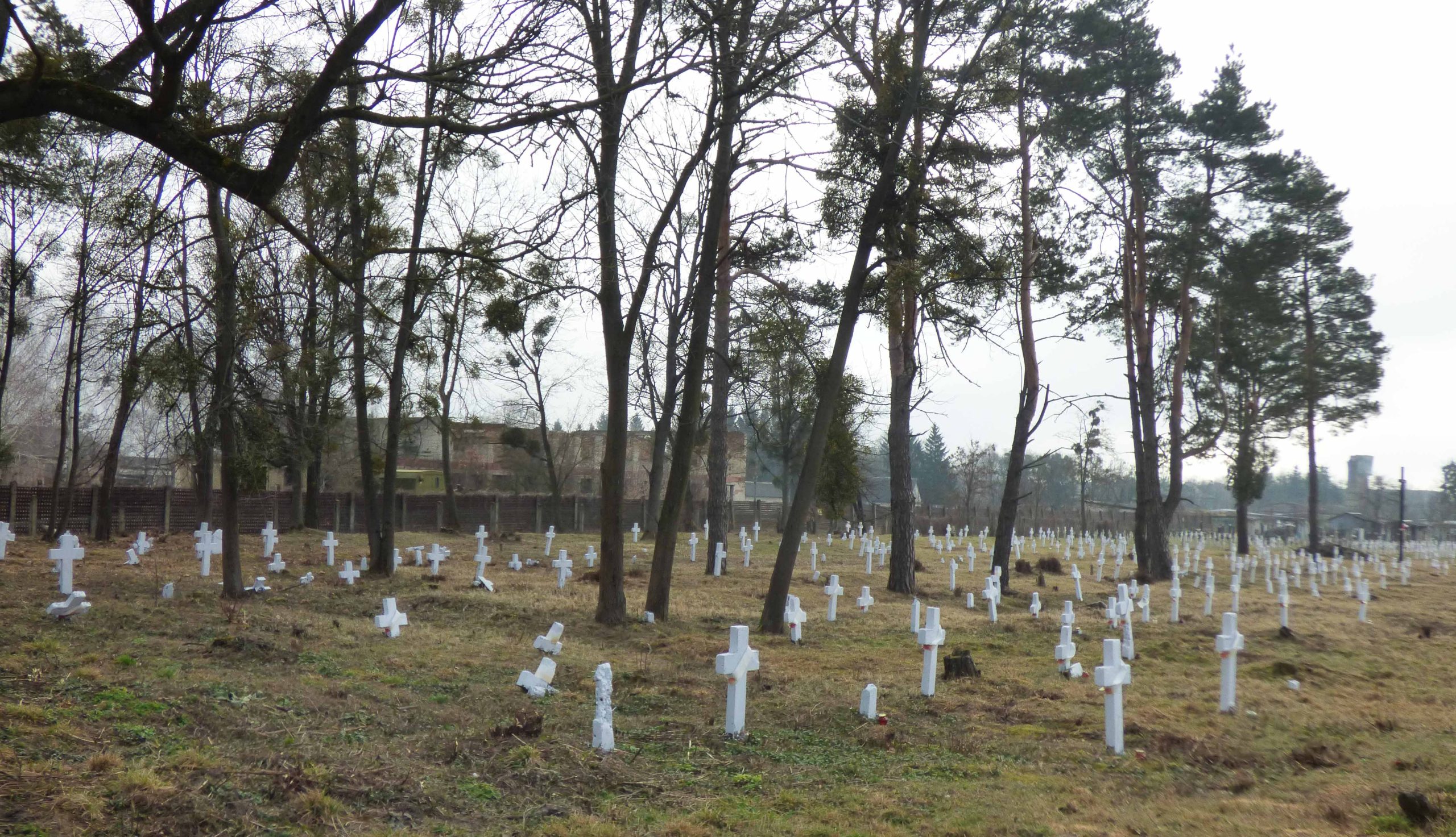 Co z polskim cmentarzem w Brodach?