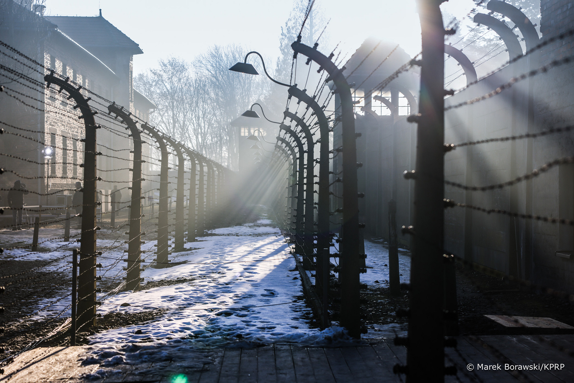 80. rocznica wyzwolenia niemieckiego nazistowskiego obozu koncentracyjnego i zagłady Auschwitz