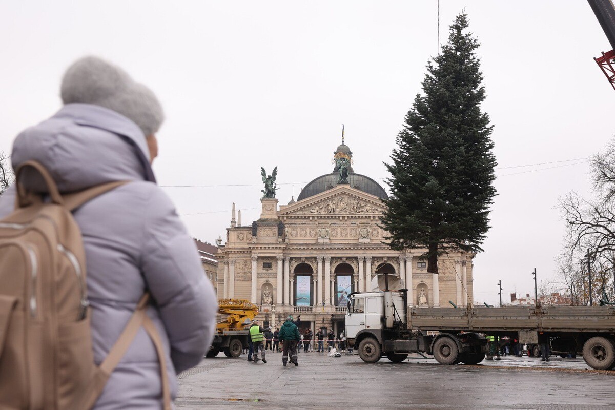 We Lwowie stanęła miejska choinka