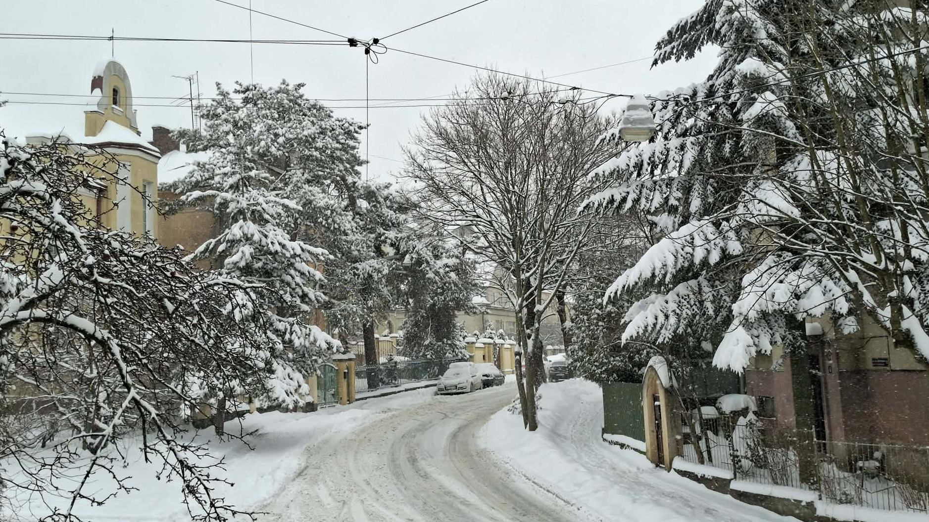 Lwów zasypało śniegiem