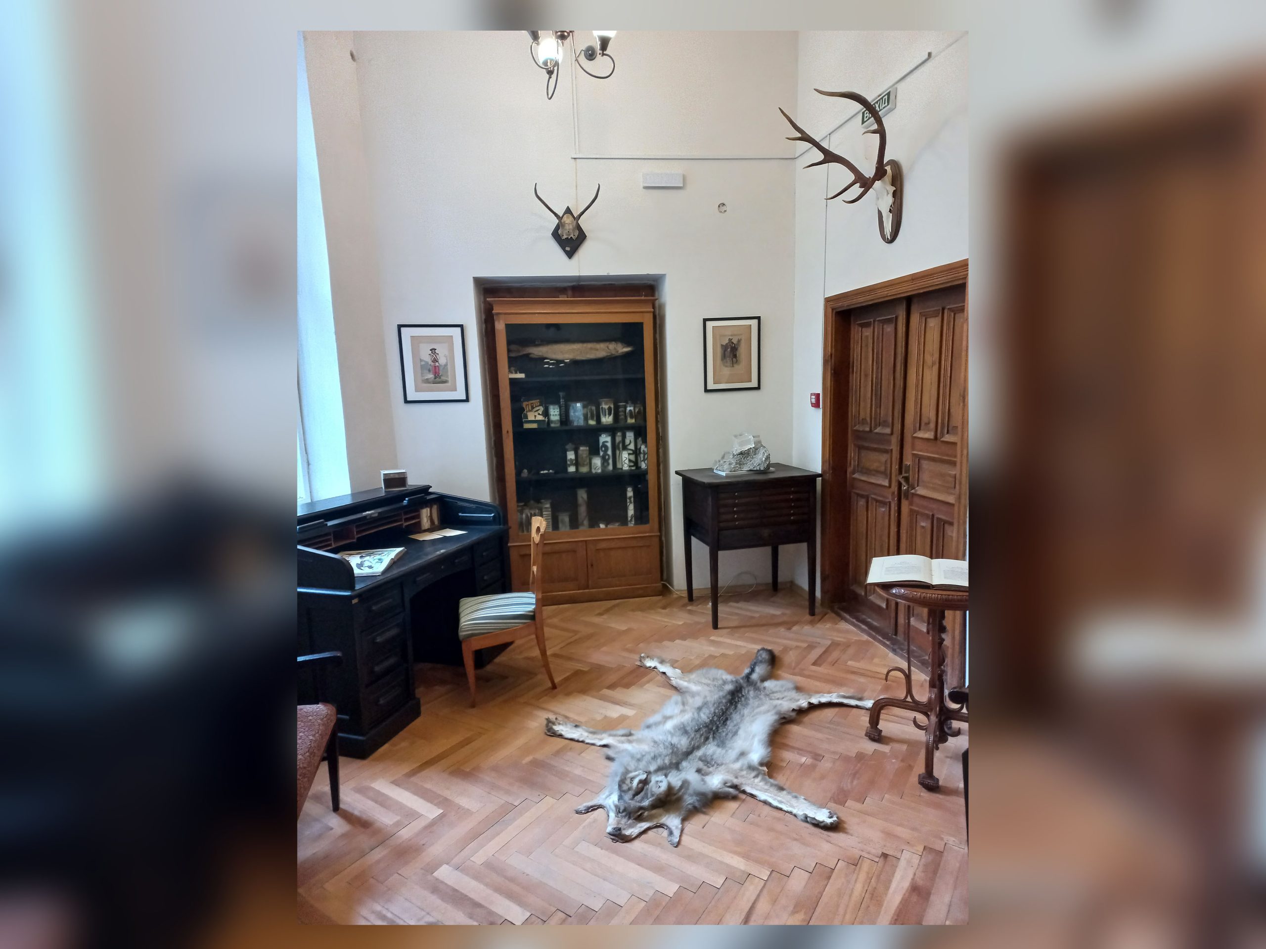 Gabinet pamiątkowy Włodzimierza Dzieduszyckiego w Muzeum Przyrodniczym we Lwowie