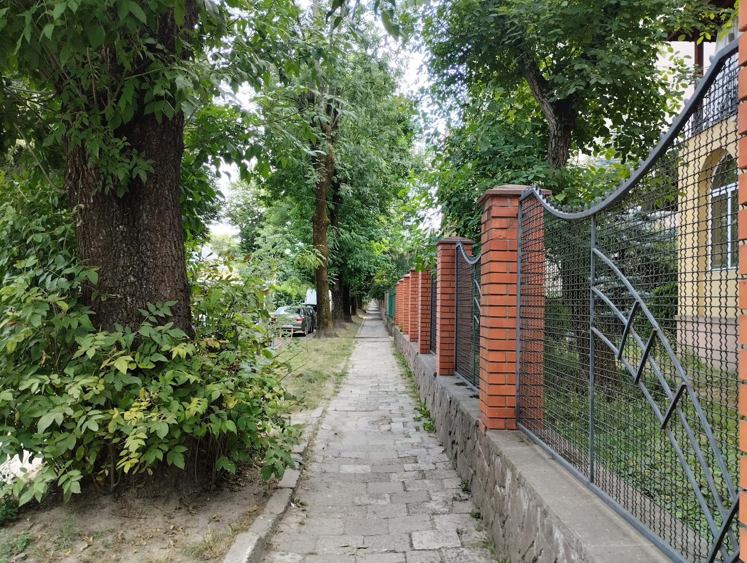 Raport o rewitalizacji zielonych terenów Lwowa w 2025 roku