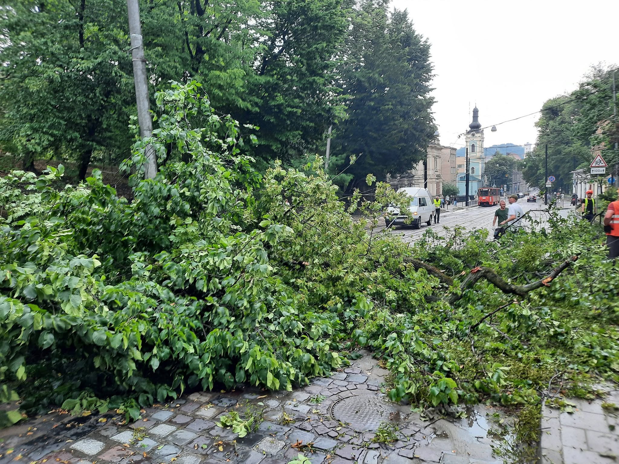 Potężna nawałnica przeszła przez Lwów. Powalone drzewa i sparaliżowany transport