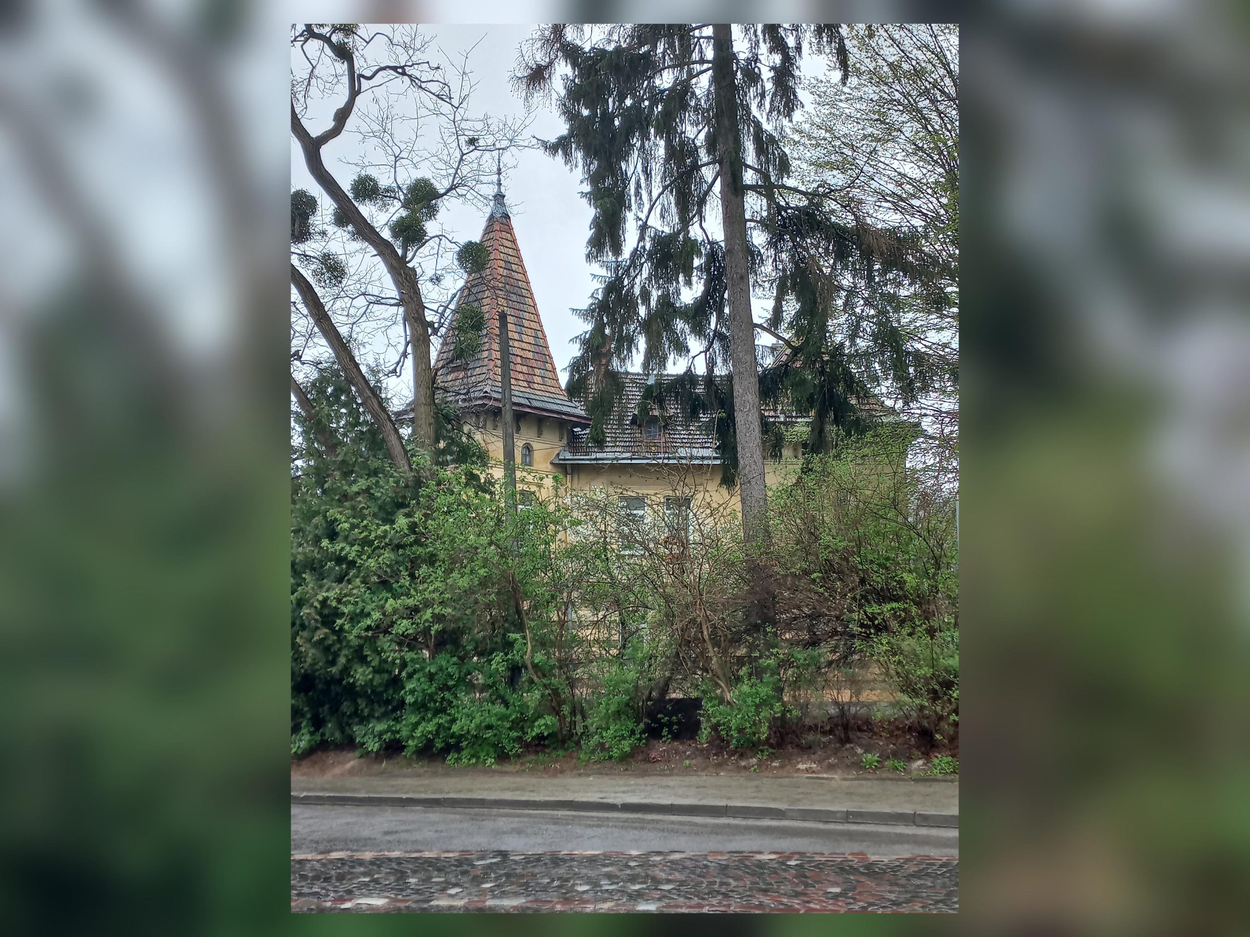 Lwów. Sierpień 1918 roku. Samobójstwo czy wyrafinowane morderstwo? Część 4
